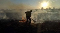 El servicio meteorológico vaticinó que las condiciones adversas de altas temperaturas y vientos cambiantes proseguirán durante los próximos días sin que se esperen lluvias.